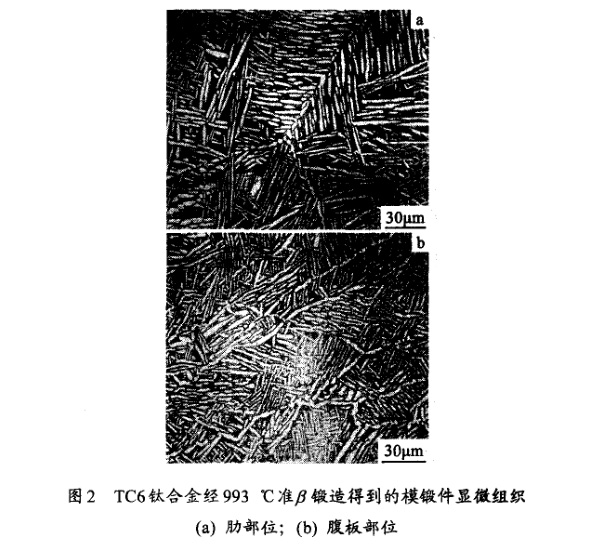 TC6鈦合金經993℃準β鍛造得到的模鍛件顯微組織(a) 肋部位；(b) 腹板部位